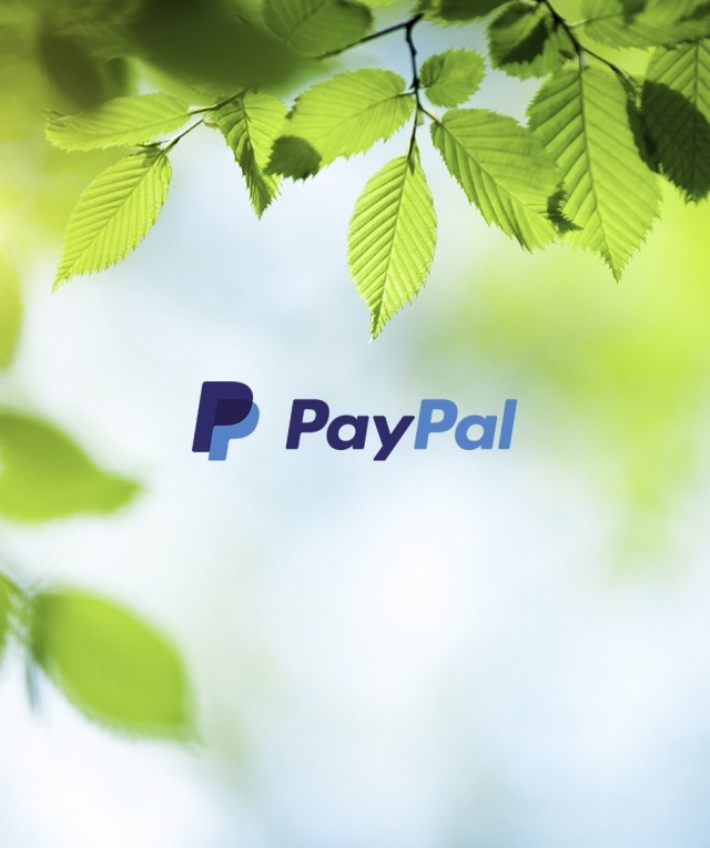 paypal logo with leaves background
